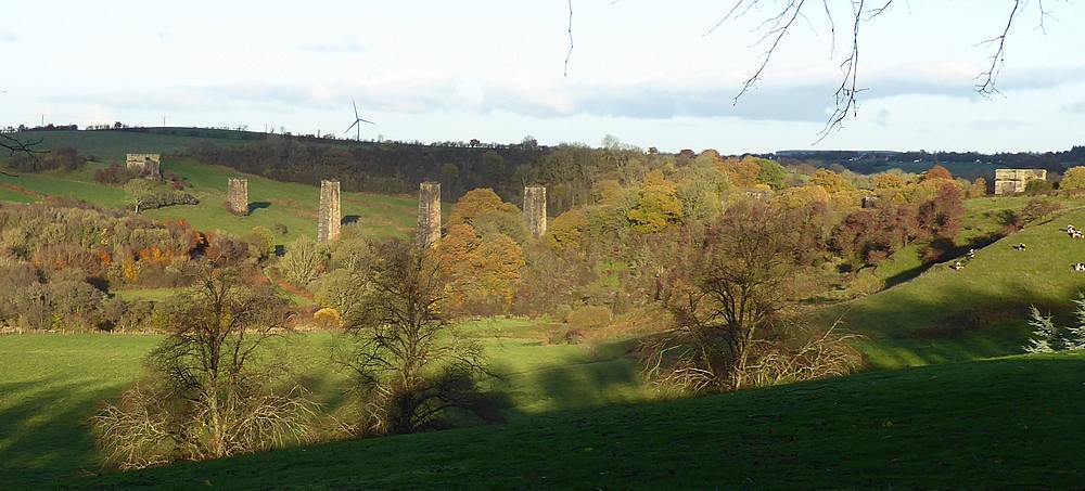 The pillars of the former Stonehouse Viaduct as seen from Alexander Hamilton Memorial Park.